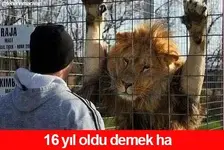 haha.webp