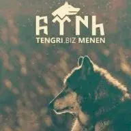 mbnet
