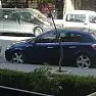 c.karakurt