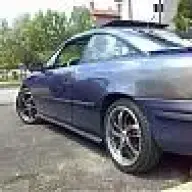 calibra_ank