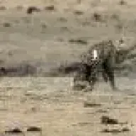 berkkkk06