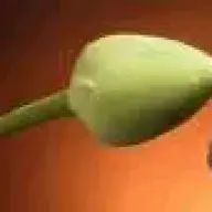 daukan