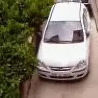 Deniz İçgüdel