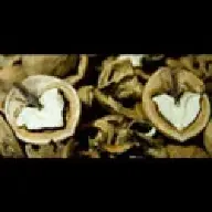 lovemania