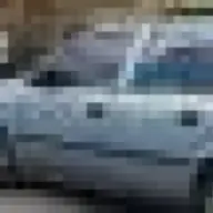 hamsi