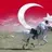 müdür