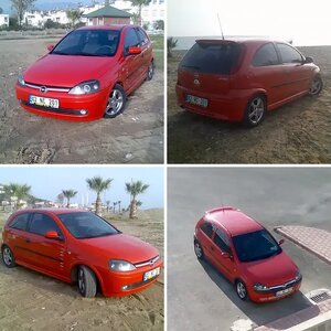 mycorsa