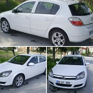 beyaz kelebek