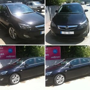 Black Beauty Outside