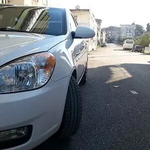 Yırtıcı Asyalı