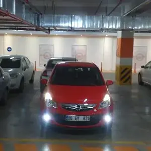 yakışıklı korş.. :)