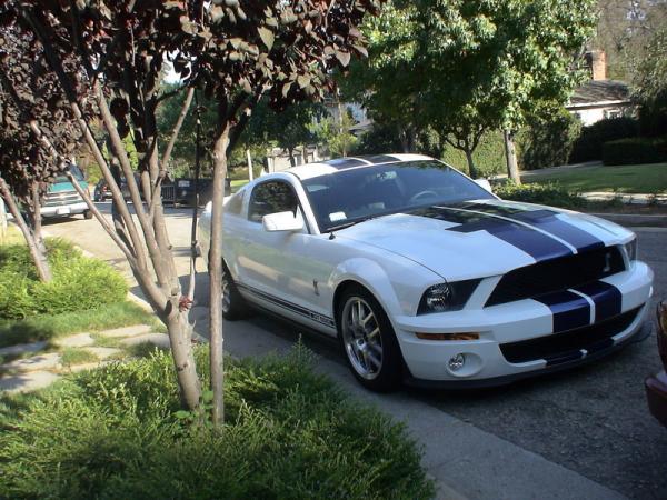 10234 2007 Ford Mustang Shelby GT500