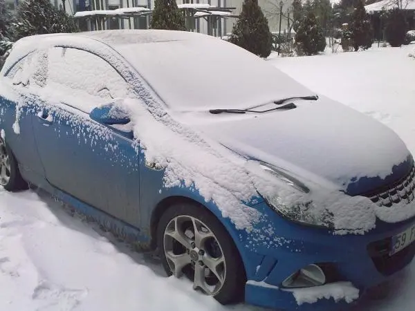 FK966 on snow 33