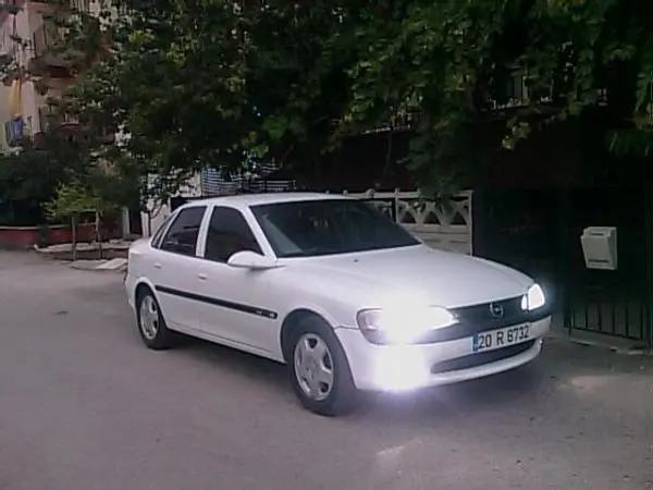 IMAG0222
