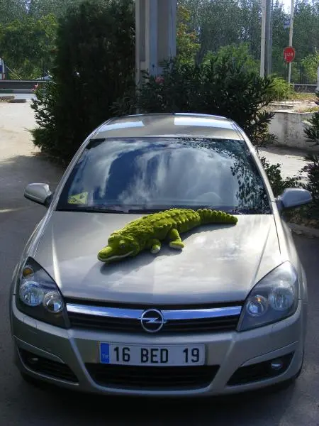 Timsah'ımlaa :)))